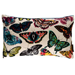 Harlequin Papilio Butterflies Cushion, Multi